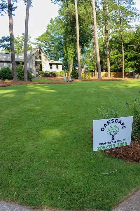 Lawn Care & Maintenance image