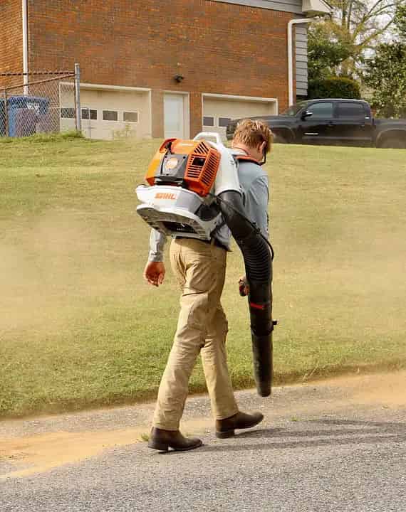 Leaf Removal image