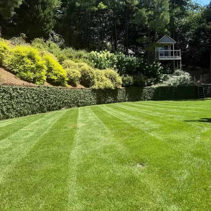 Landscape Design image