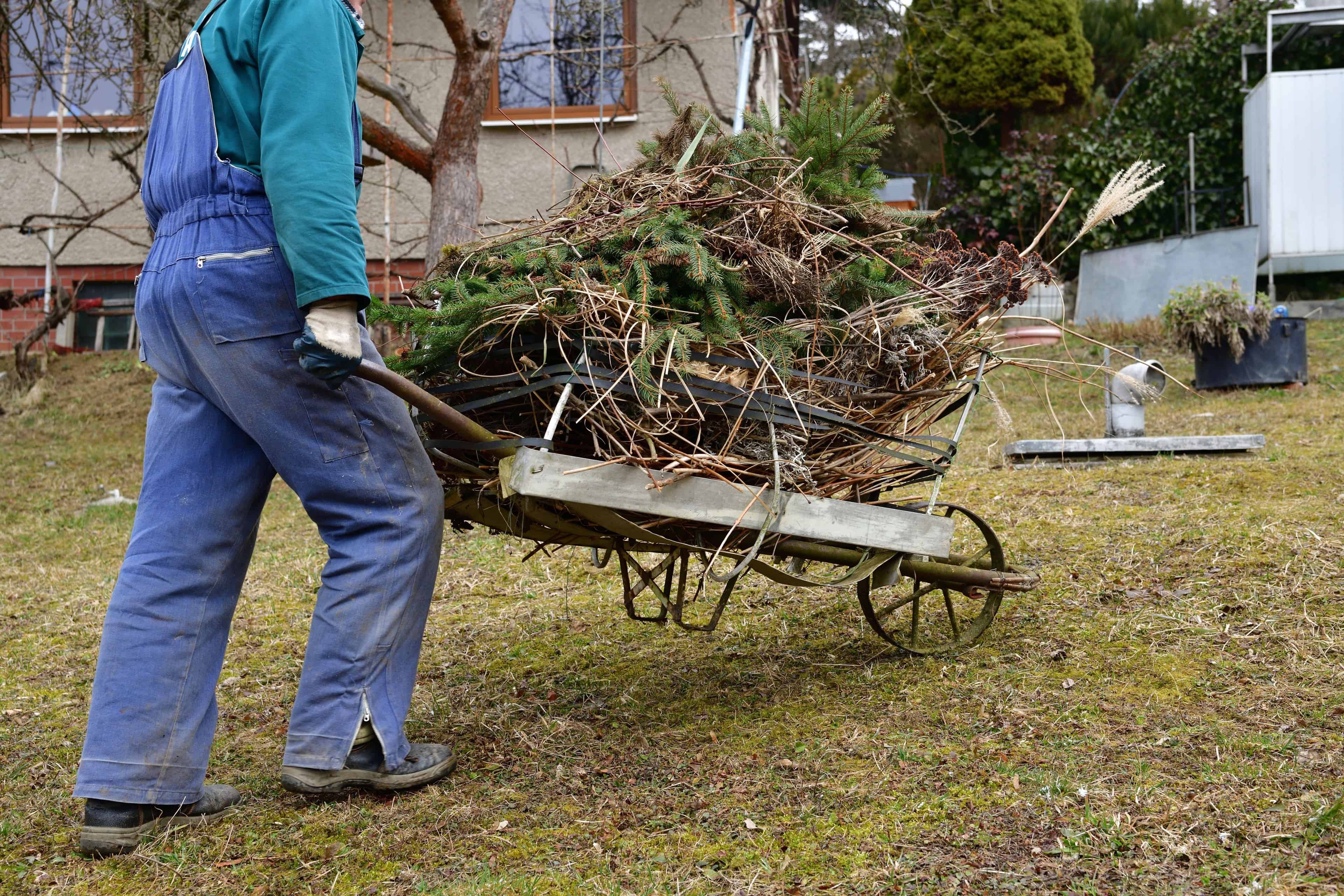 Spring Yard Cleanup image