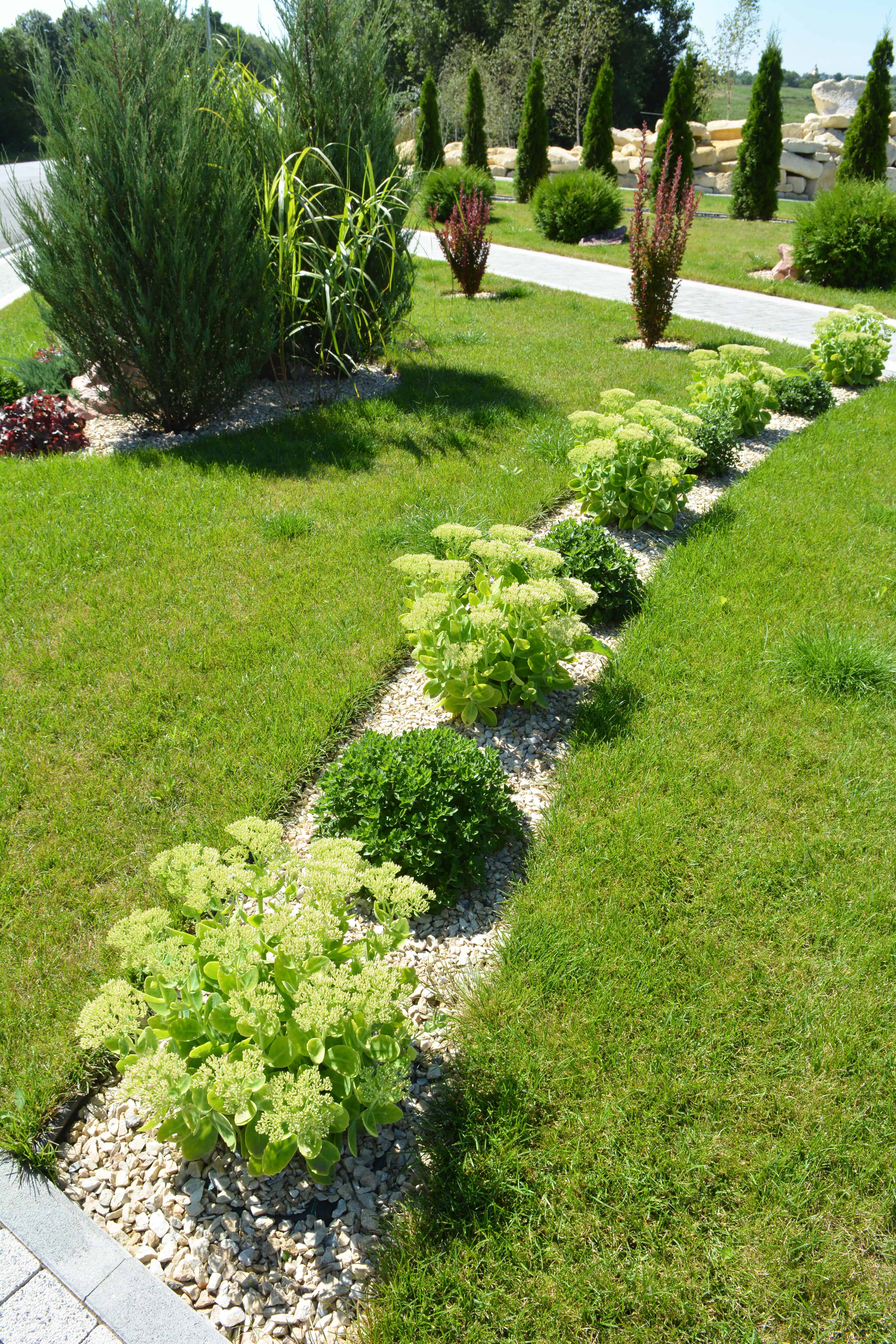 Tree & Shrub Planting image
