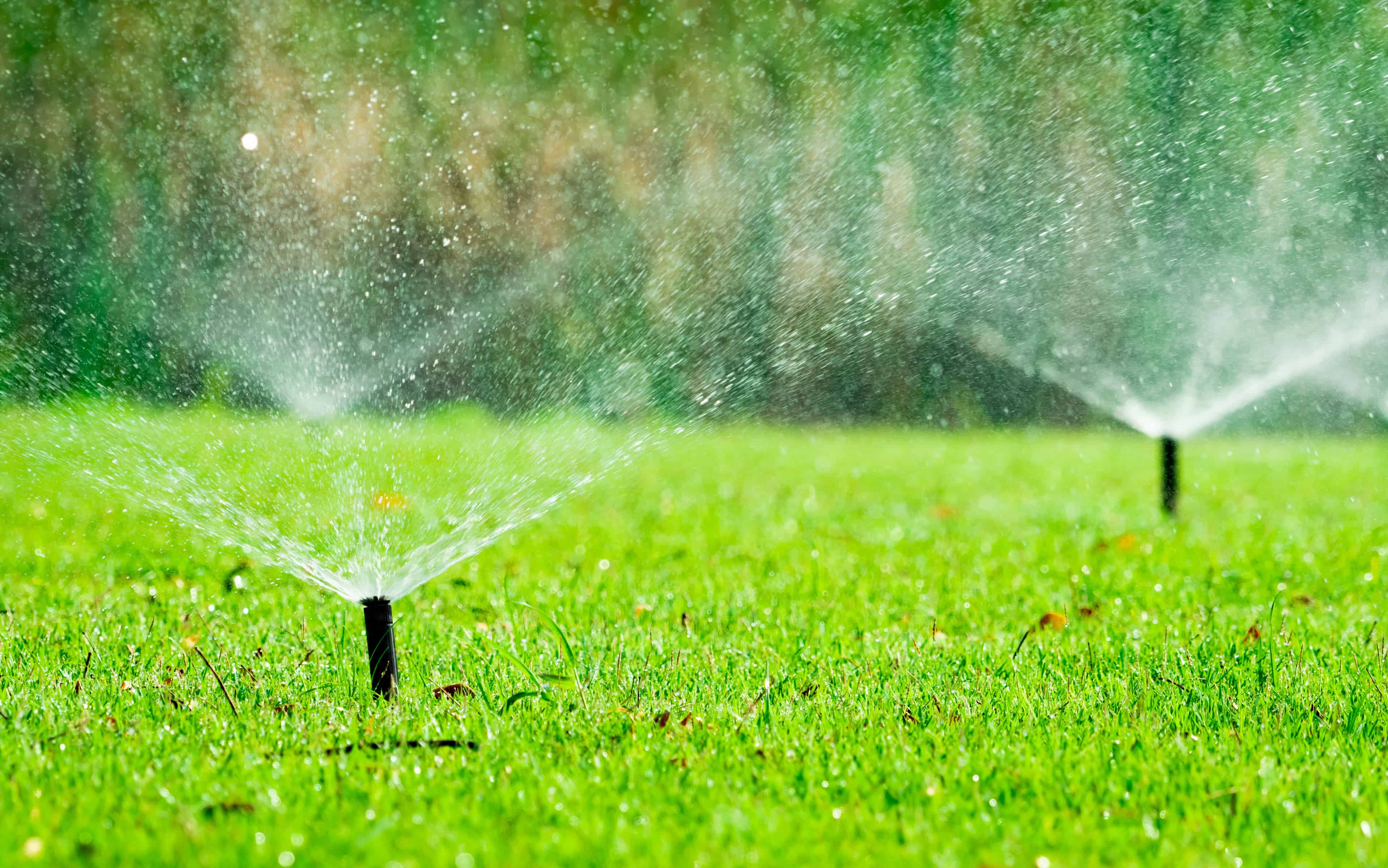 Sprinkler & Irrigation Installation image