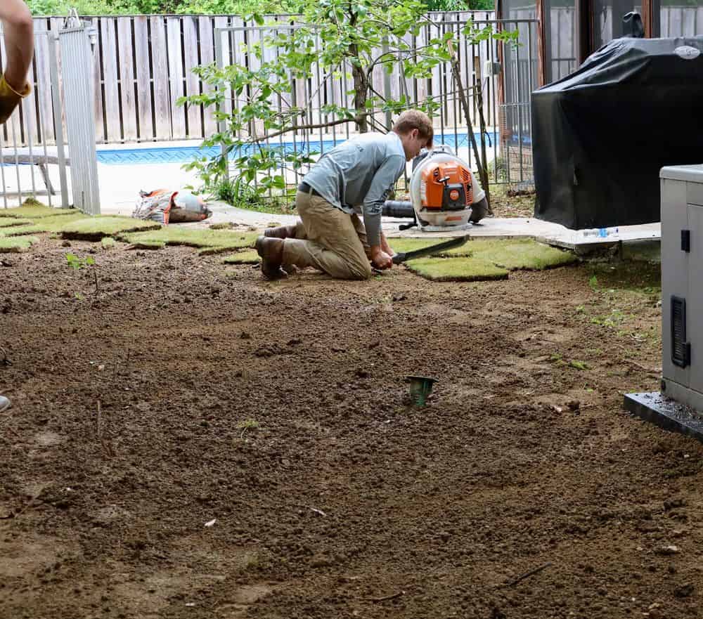Sod Installation image