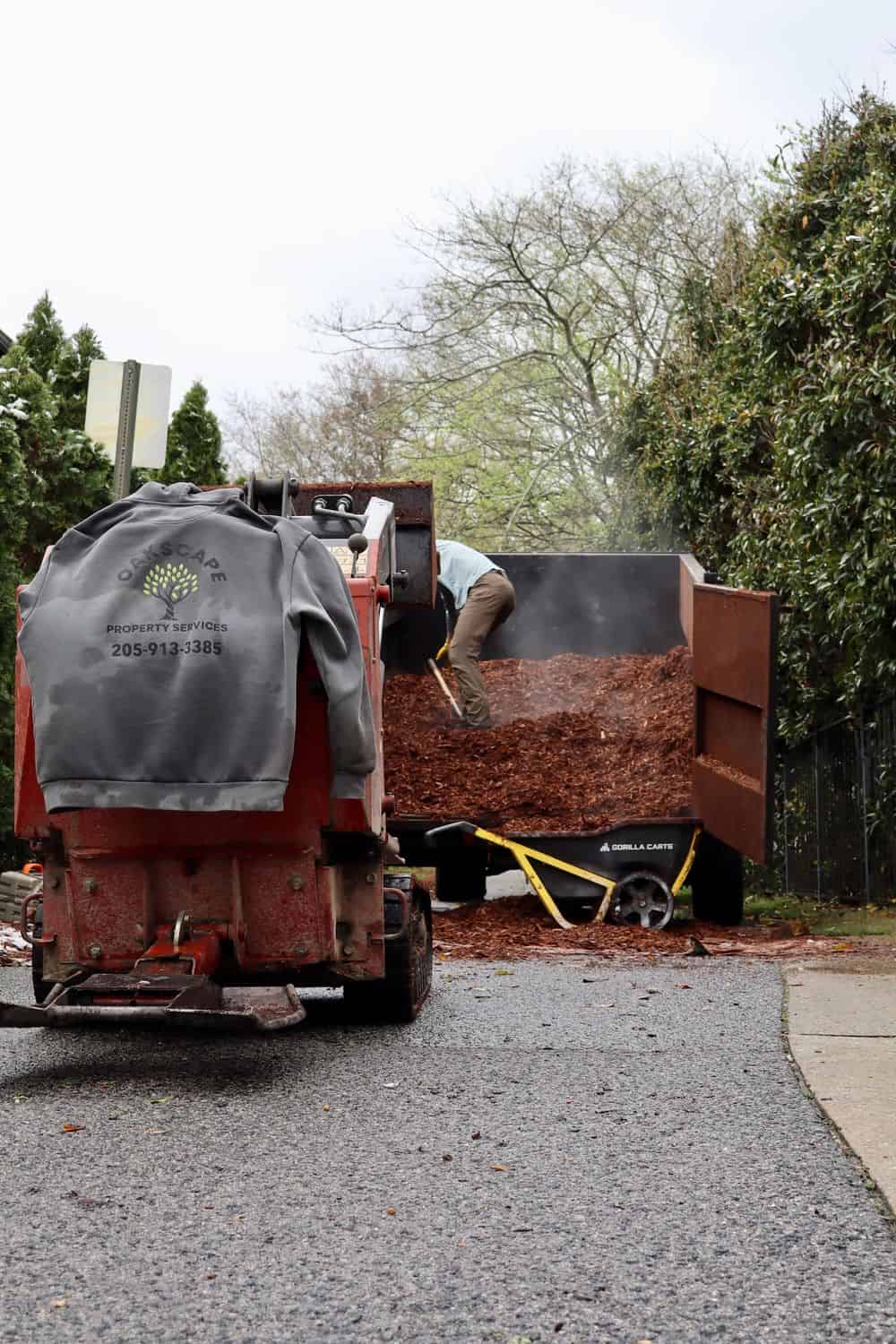 Fall Cleanup image