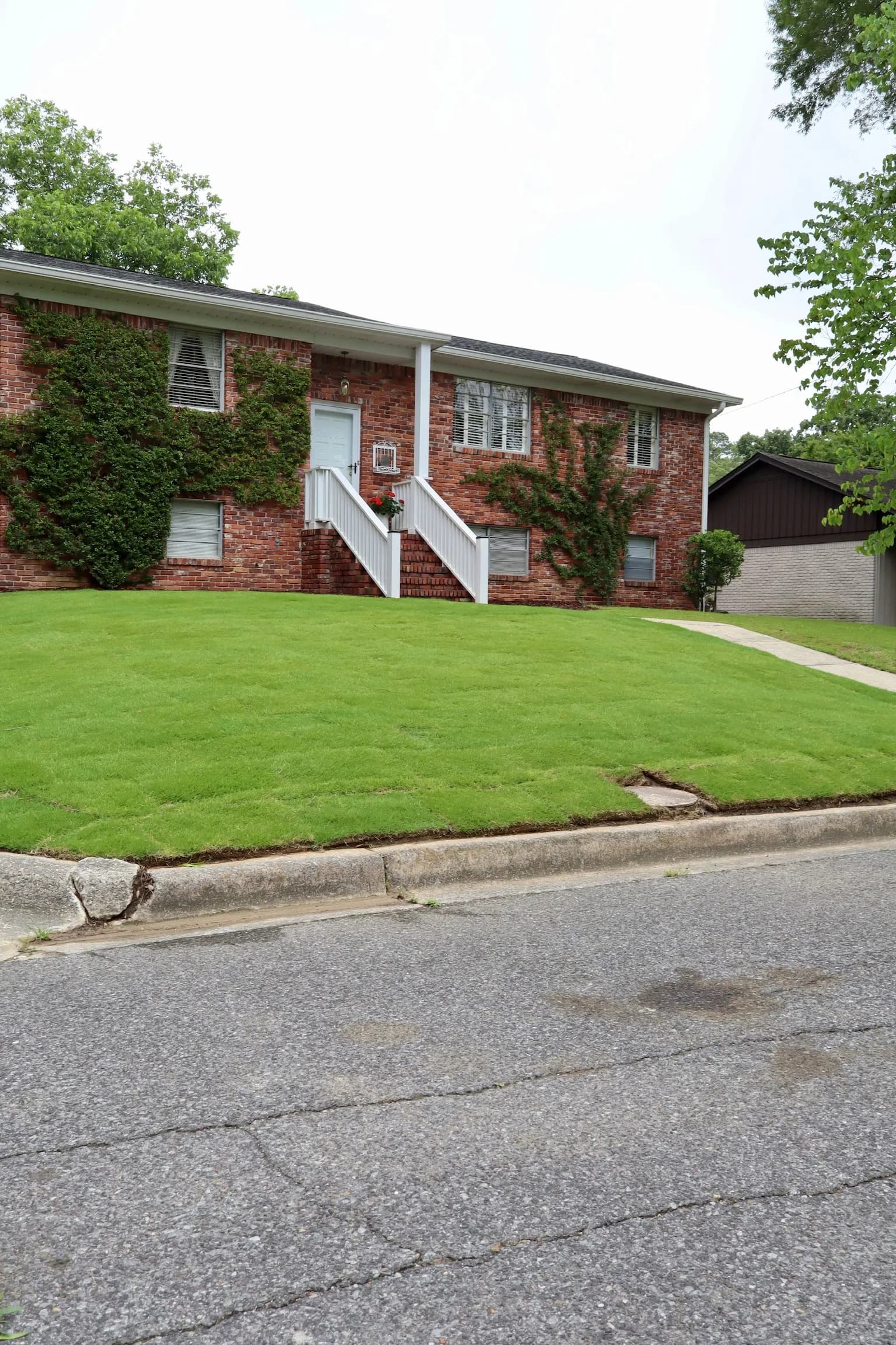 Project Sod Installation and Fresh Mulch Beds in Mountain Brook image