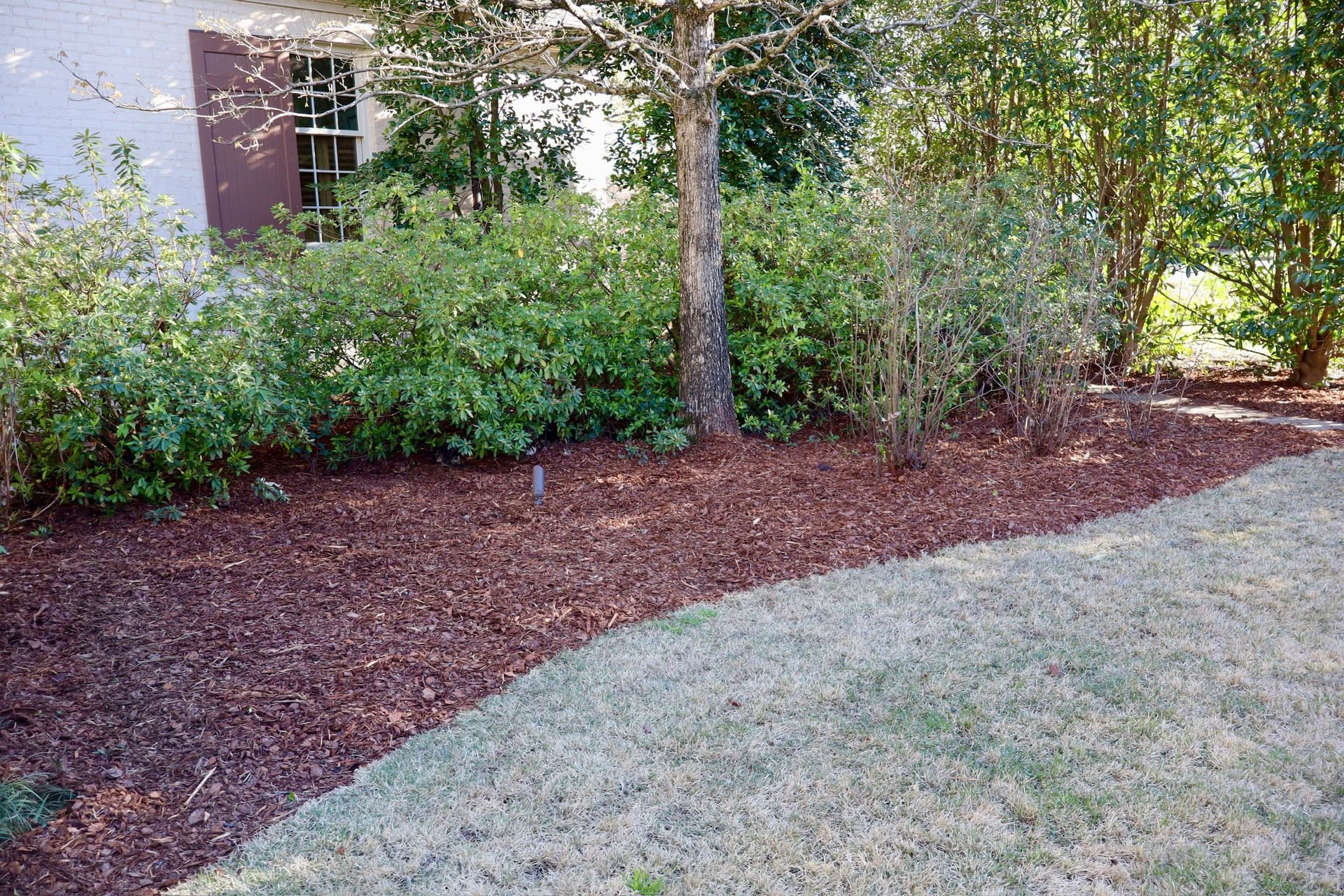 Gallery photos for Fresh Mulch and Cleaned Beds Give This Yard a Sharp Reset: Image #2
