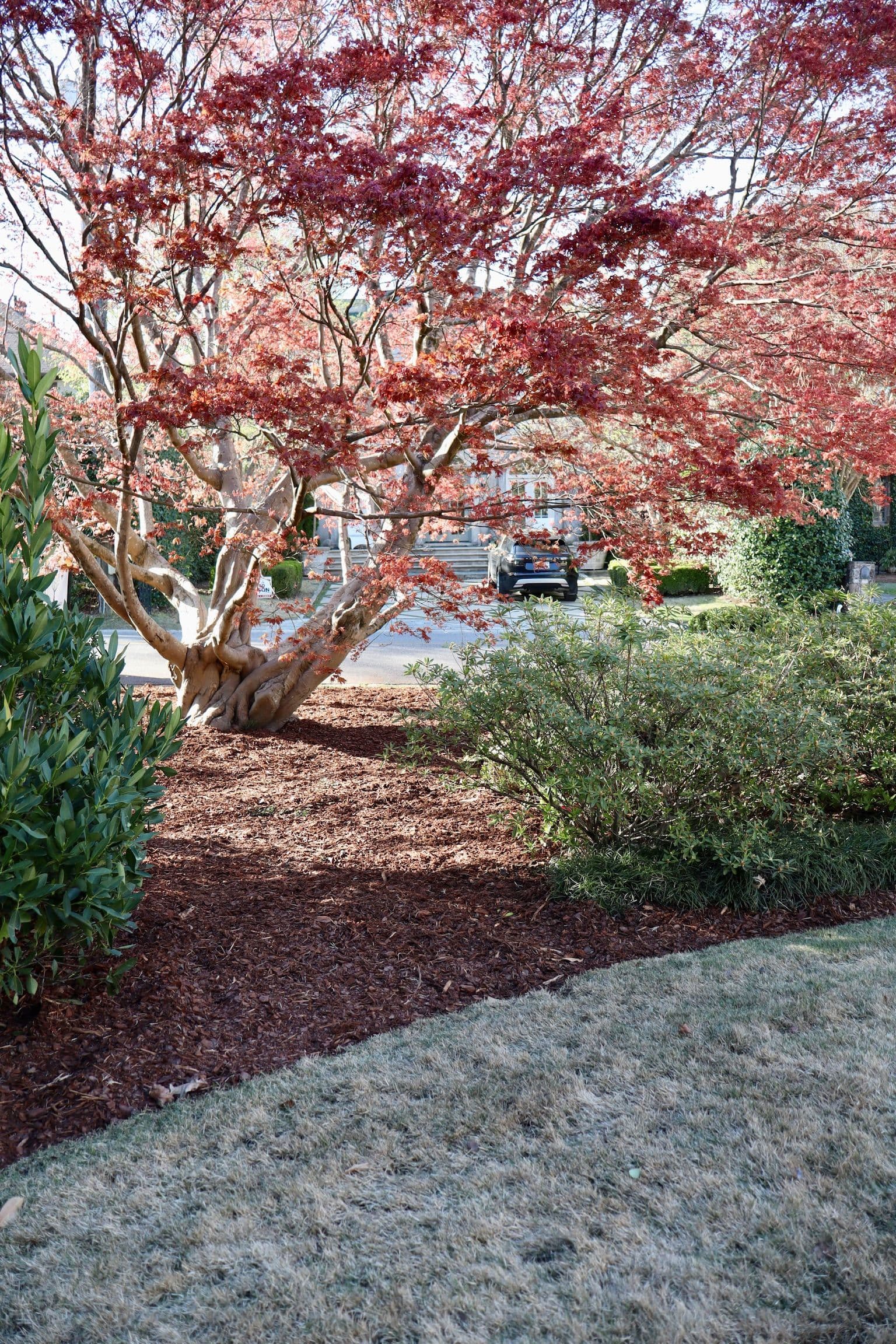 Fresh Mulch and Cleaned Beds Give This Yard a Sharp Reset image