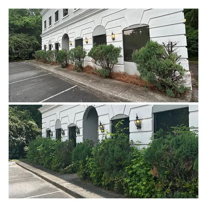 Side-by-side view of a building's exterior with trimmed vs. overgrown landscaping.