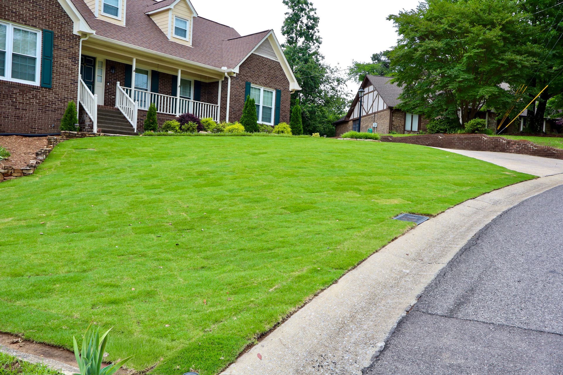 Gallery photos for Fresh Sod Installation Gives This Lawn a Clean, Even Look: Image #3