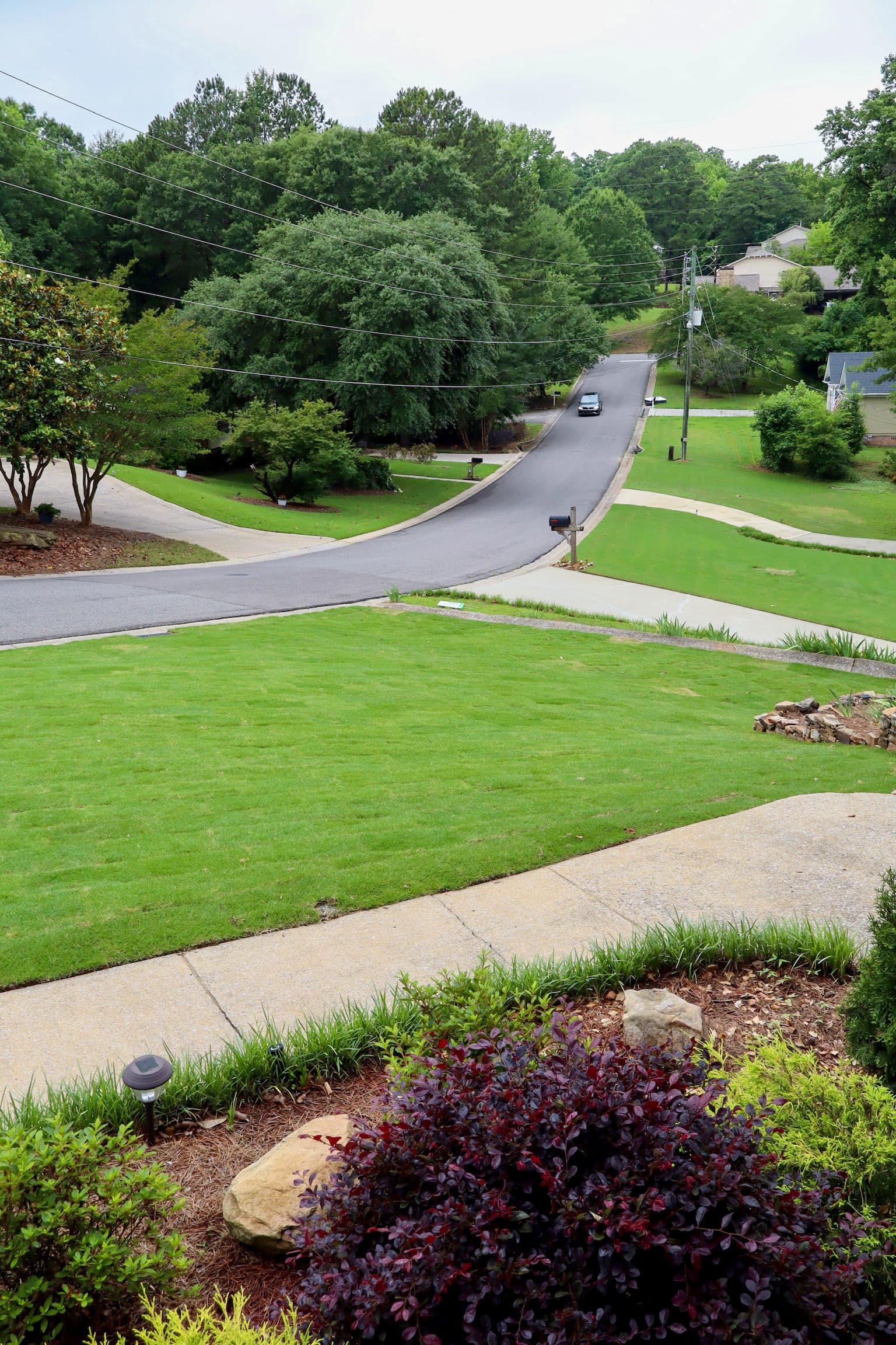 Gallery photos for Fresh Sod Installation Gives This Lawn a Clean, Even Look: Image #1