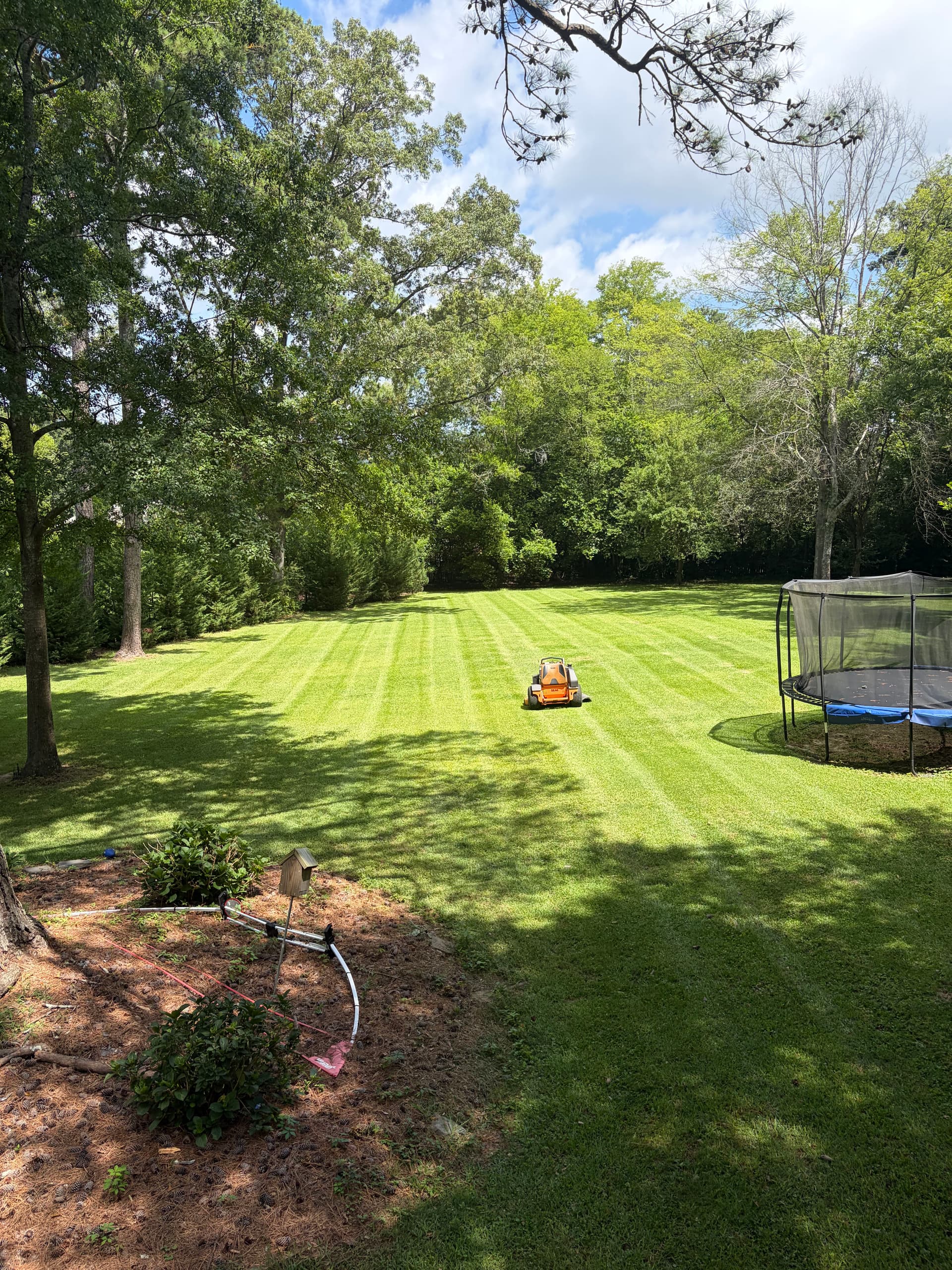 Keeping a Larger Vestavia Hills Lawn Looking Sharp All Summer image