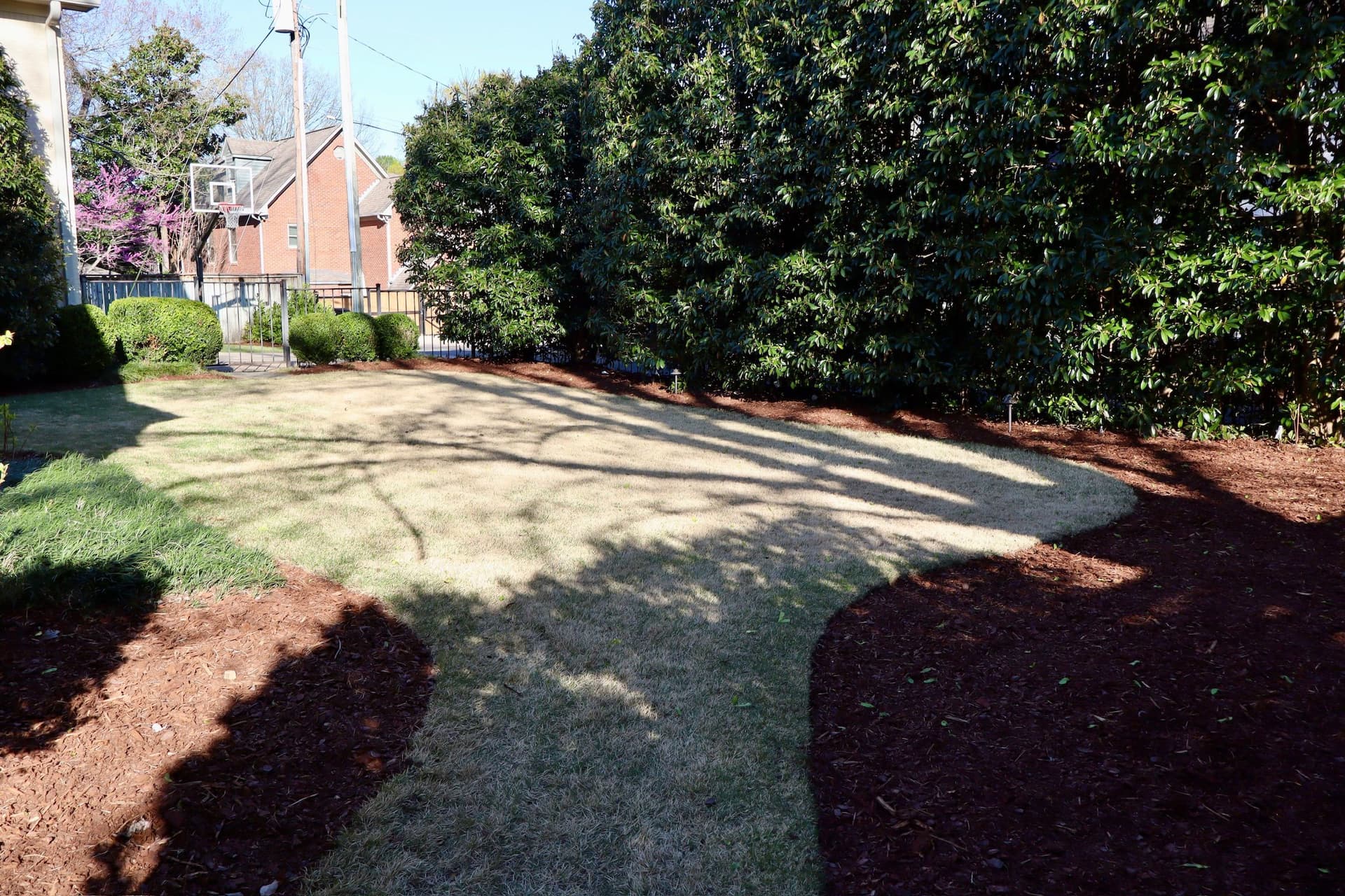 Gallery photos for Fresh Mulch and Cleaned Beds Give This Yard a Sharp Reset: Image #6