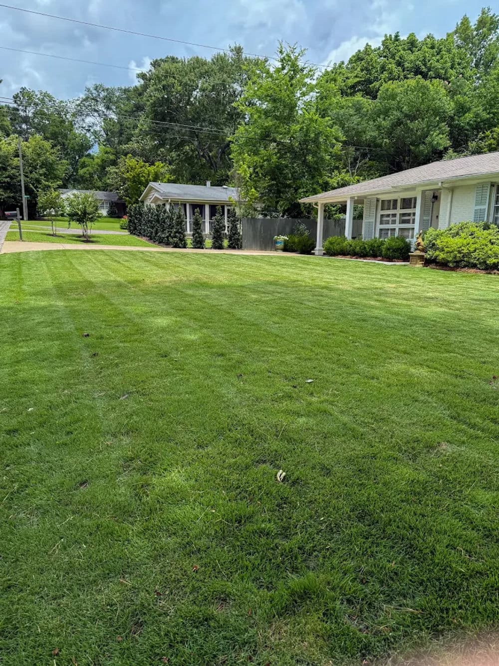 Lush green lawn in a residential area with well-maintained landscaping and homes.