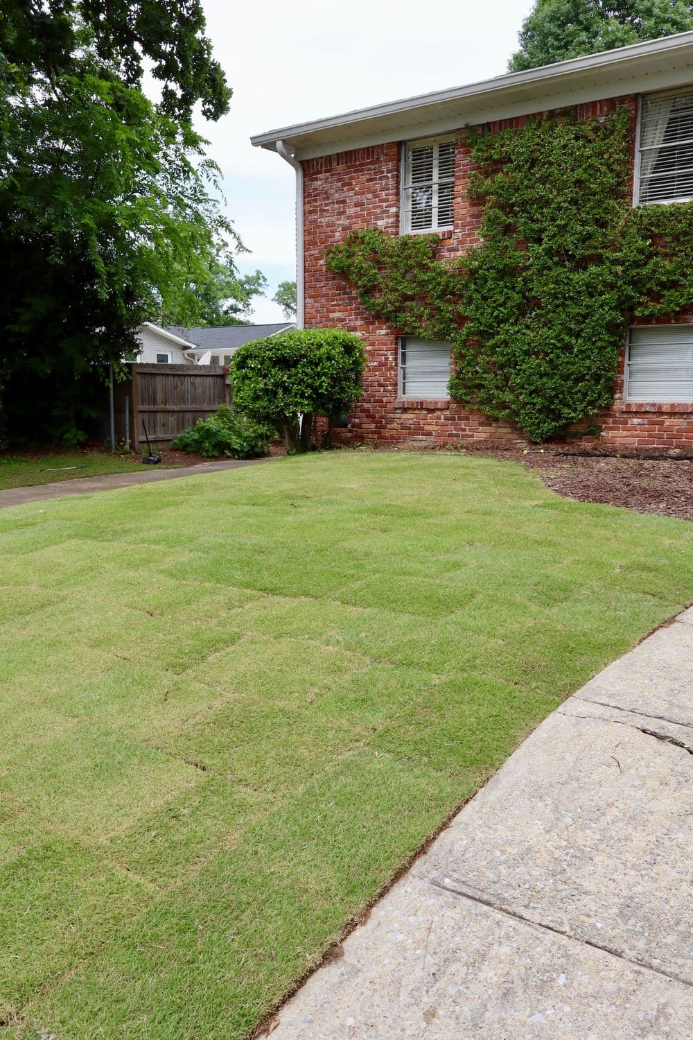 Lush green lawn with freshly laid sod adjacent to a brick house with ivy-covered walls.