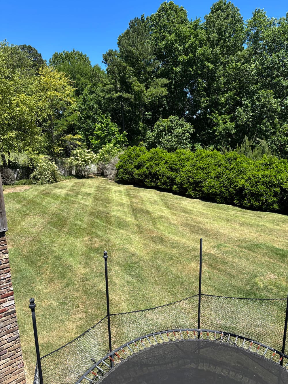 A manicured backyard with neatly striped grass and lush green trees, featuring a trampoline.