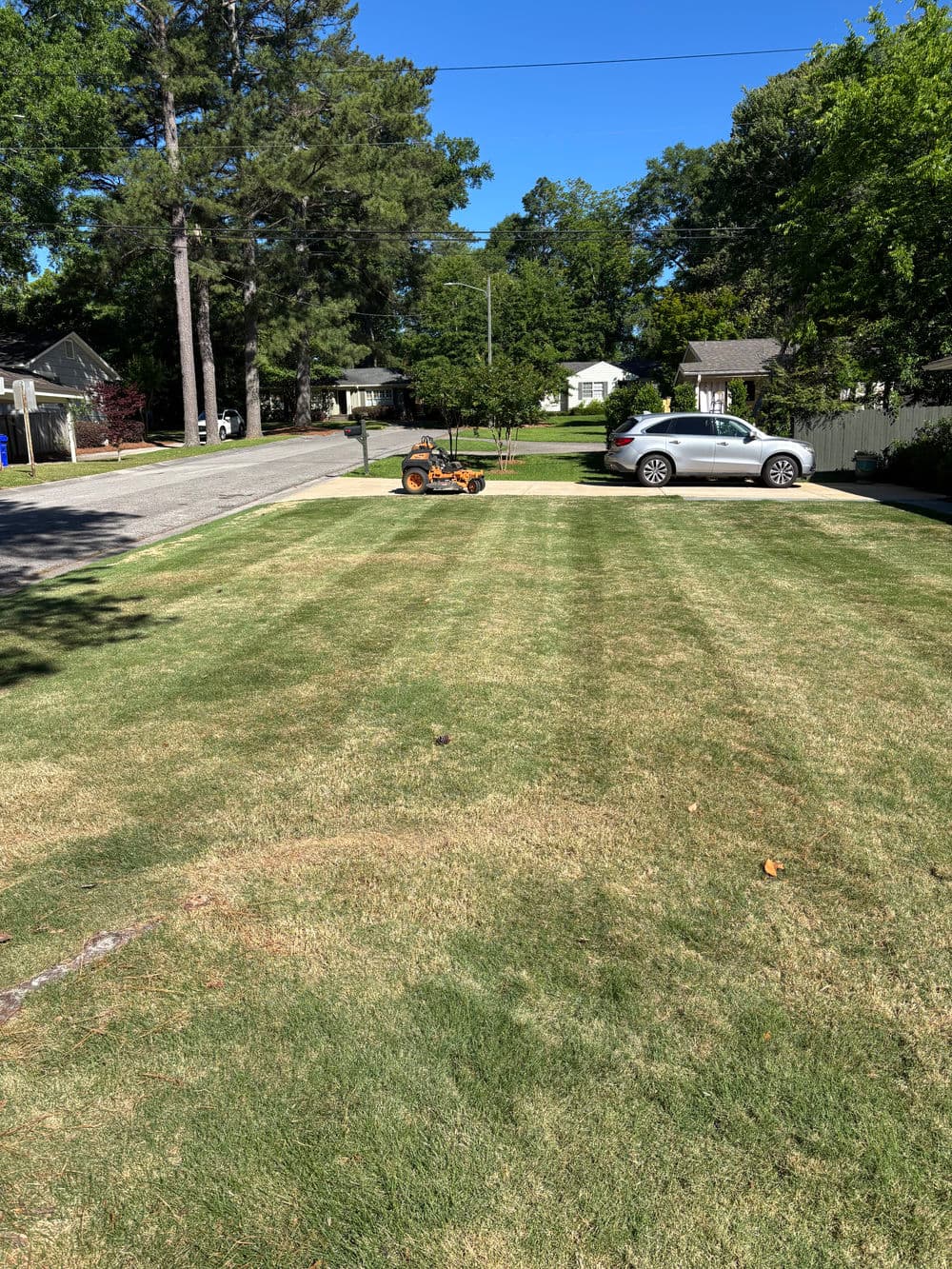 Lawn with freshly mowed stripes, parked car, and neighborhood houses under clear blue sky.