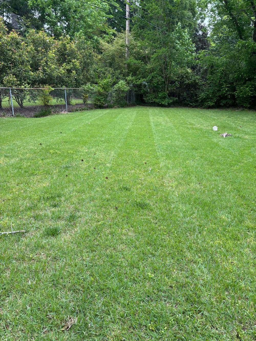 Lush green backyard lawn with neatly mowed grass and surrounding trees.