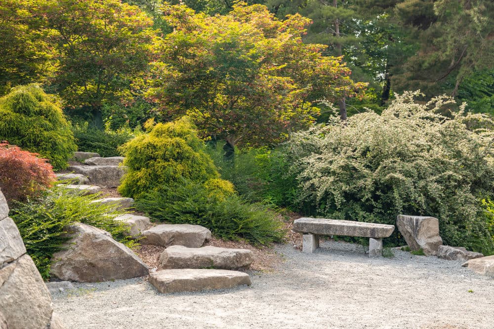 Lush garden pathway with stone steps, greenery, and a rustic bench under trees.