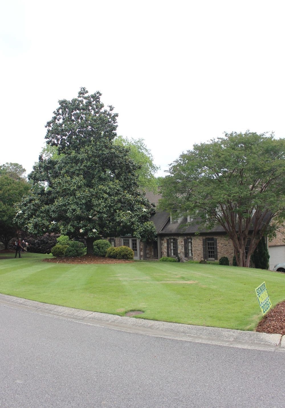 Elegant home with manicured lawn and large magnolia tree on a quiet suburban street.