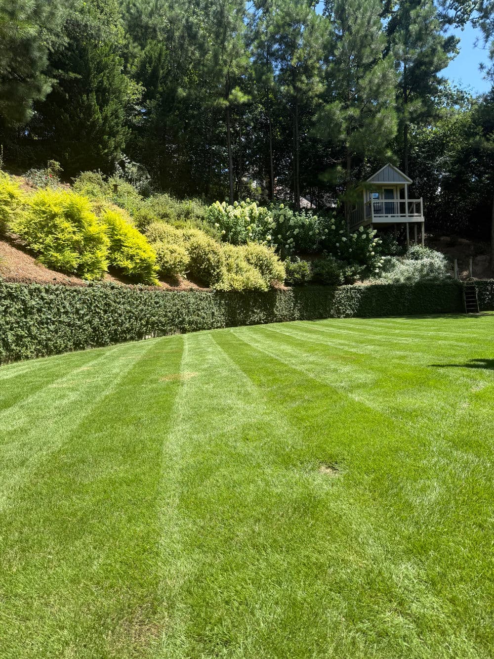 Lush green lawn with neatly mowed stripes, surrounded by vibrant shrubbery and trees.