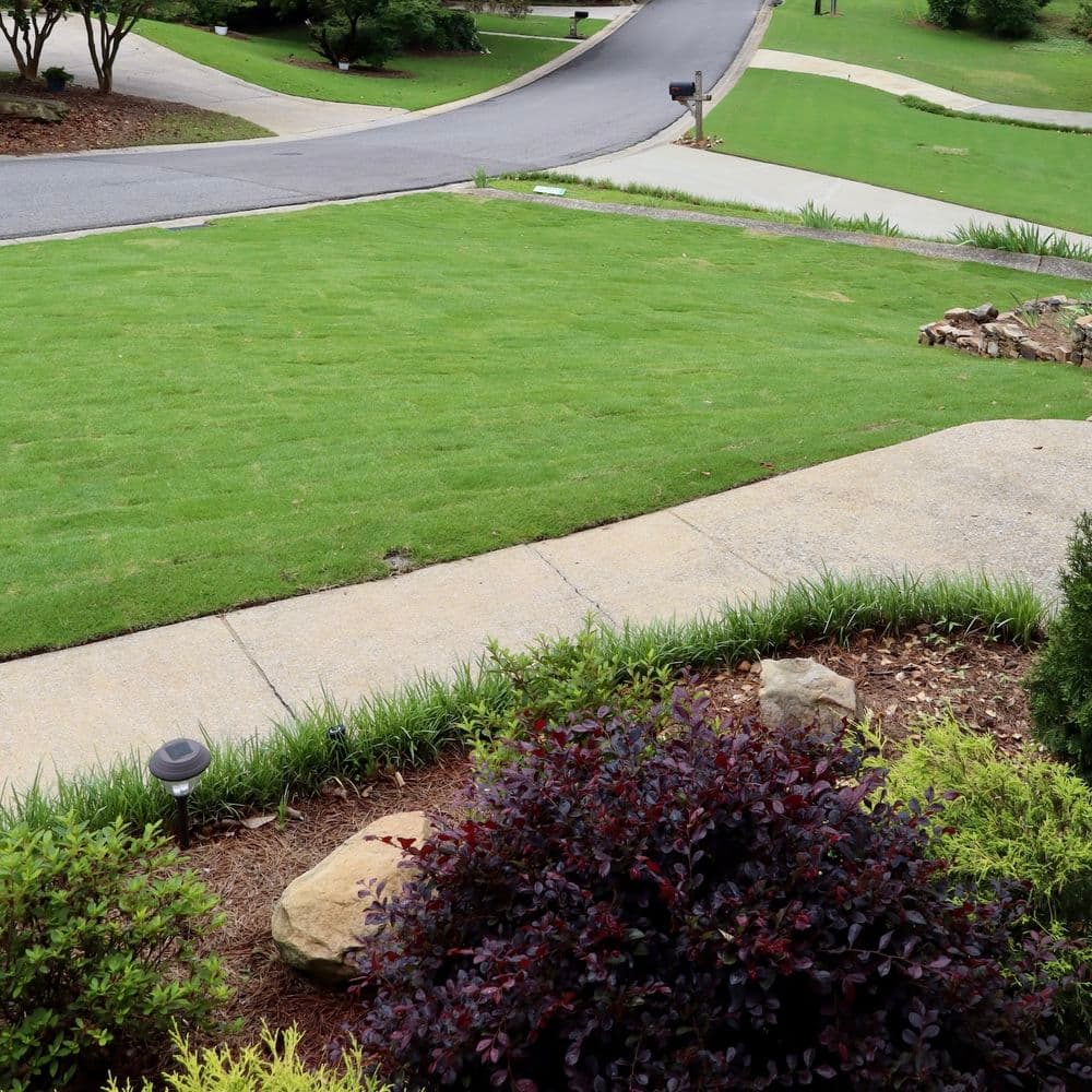 Well-maintained lawn with shrubs and stone accents along a suburban driveway.