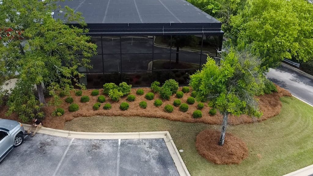 Gallery photos for Pine Straw Refresh at Synovus Bank Sharpens Curb Appeal: Image #3