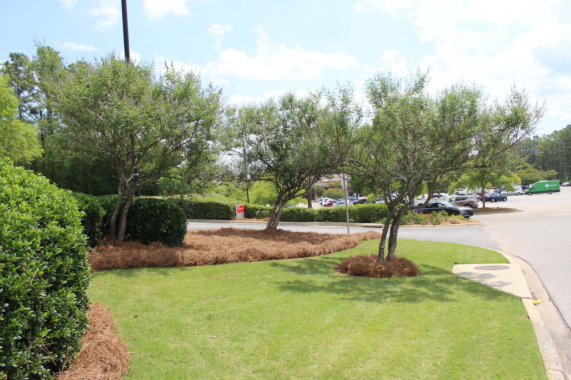 Gallery photos for Pine Straw Refresh at Synovus Bank Sharpens Curb Appeal: Image #5