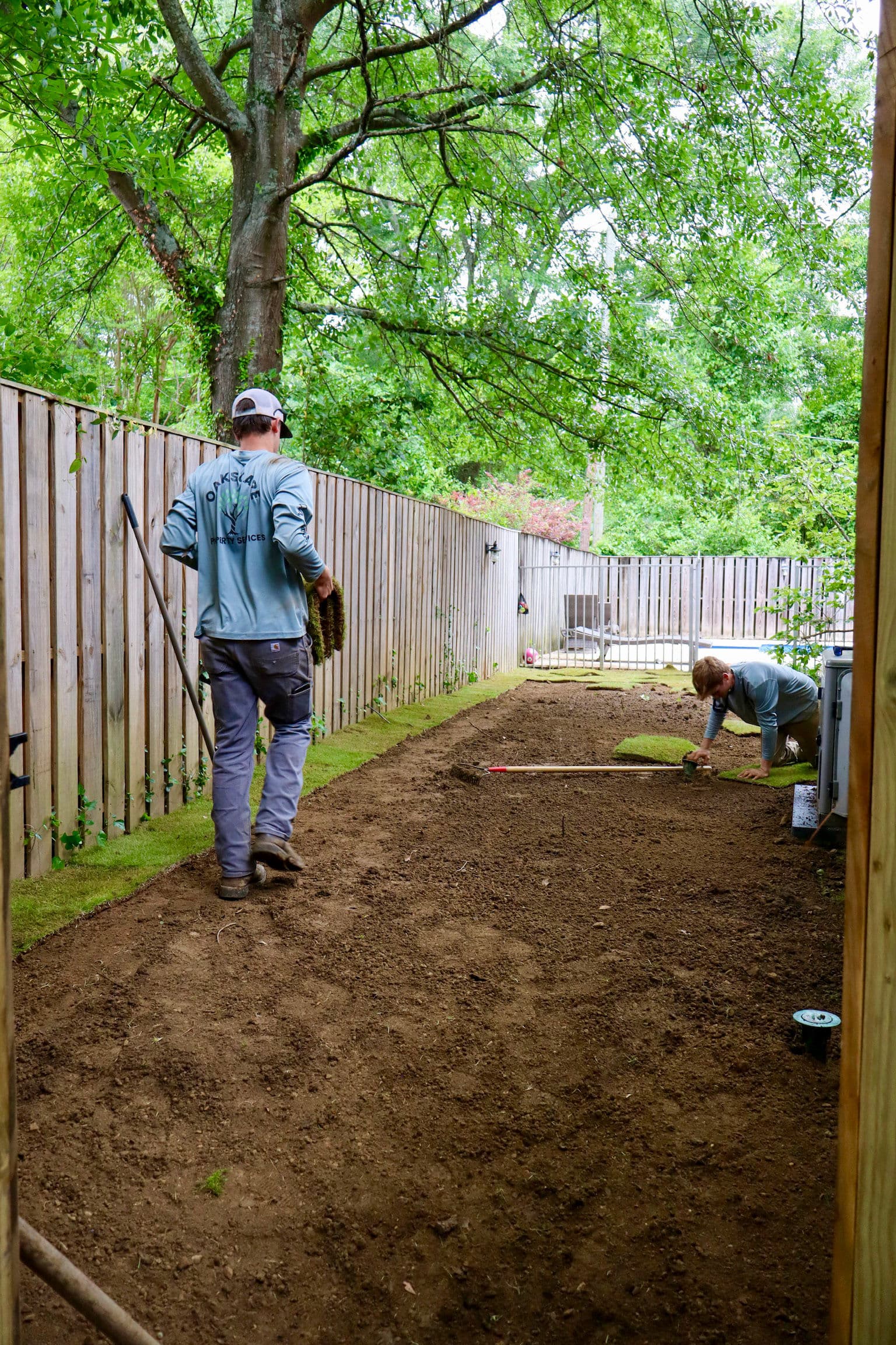 Gallery photos for Fresh Sod Installation Fixes Bare Backyard Near Pool: Image #3