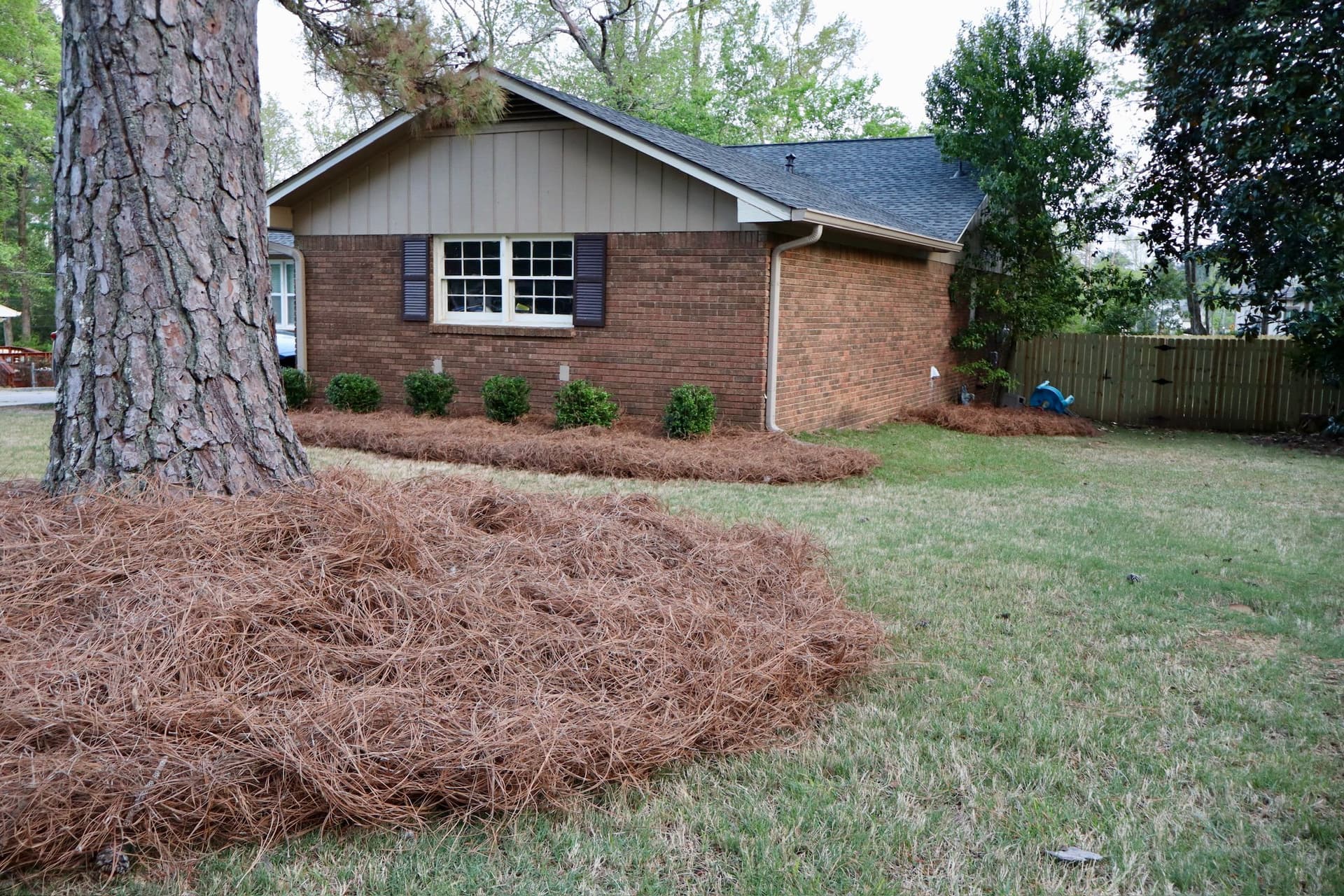 Gallery photos for Pine Straw and Hedge Cleanup at a Hoover Home: Image #2