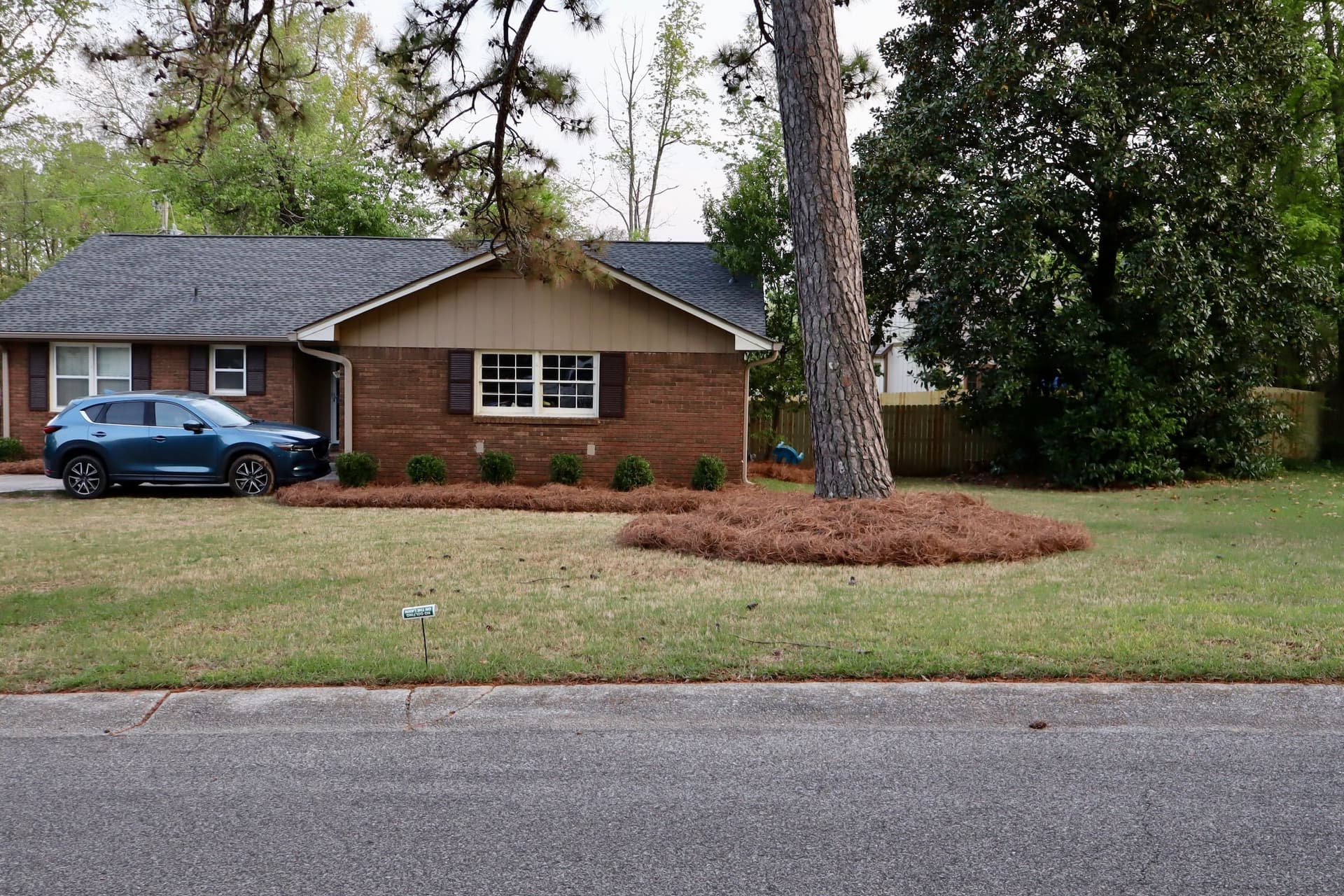 Pine Straw and Hedge Cleanup at a Hoover Home image