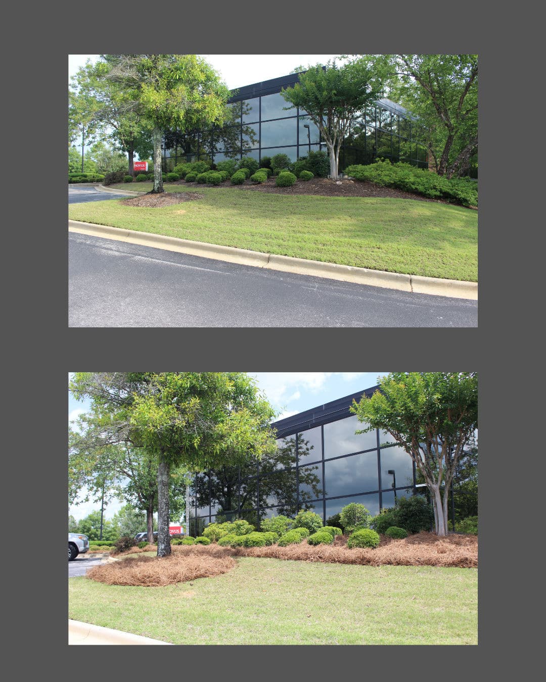 Gallery photos for Pine Straw Refresh at Synovus Bank Sharpens Curb Appeal: Image #6
