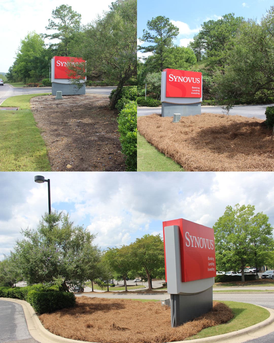 Gallery photos for Pine Straw Refresh at Synovus Bank Sharpens Curb Appeal: Image #1