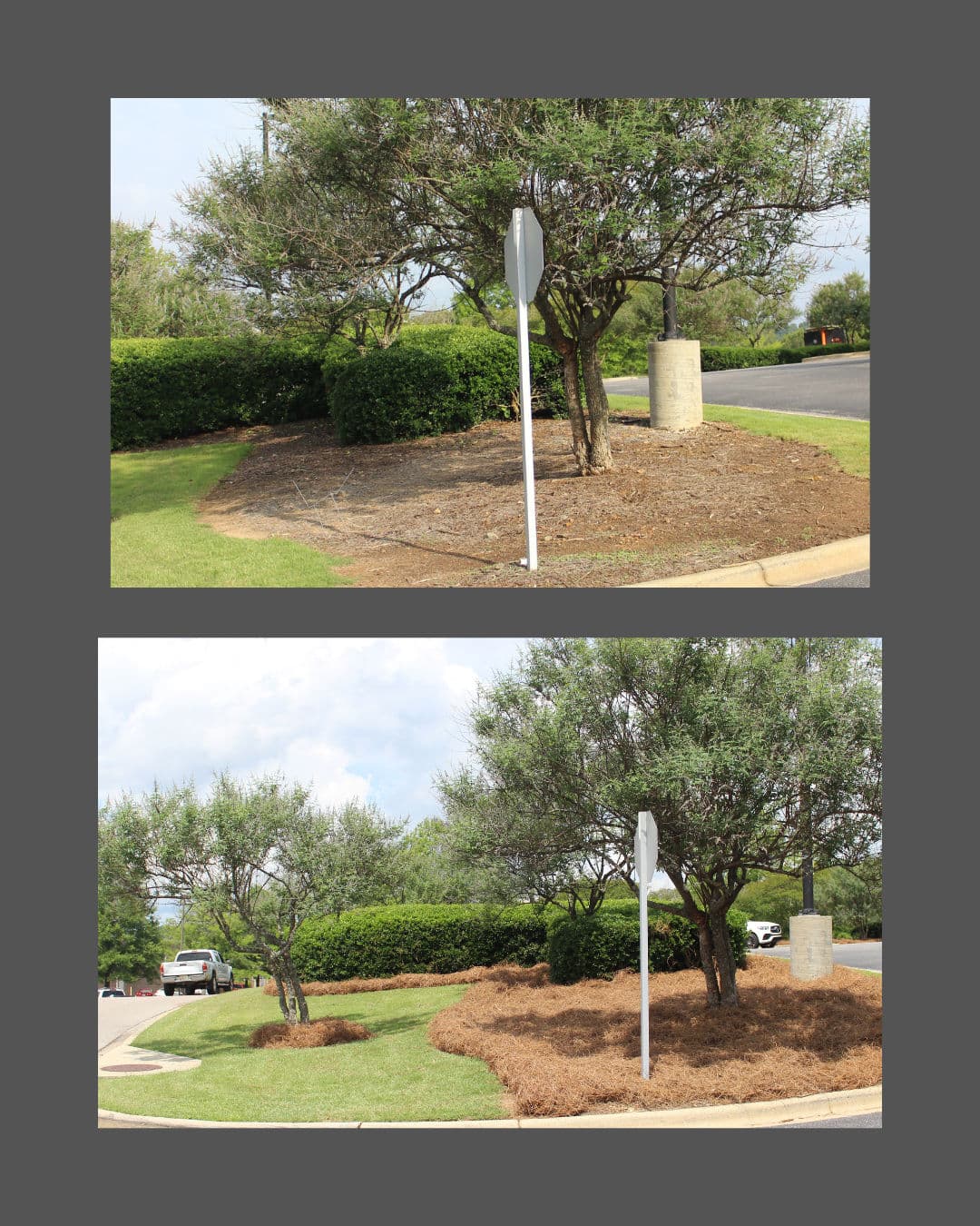 Gallery photos for Pine Straw Refresh at Synovus Bank Sharpens Curb Appeal: Image #7
